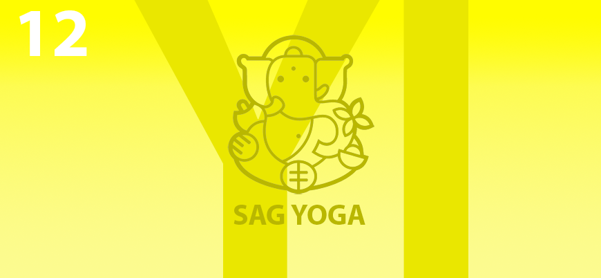 Yoga inicial sag yoga 12