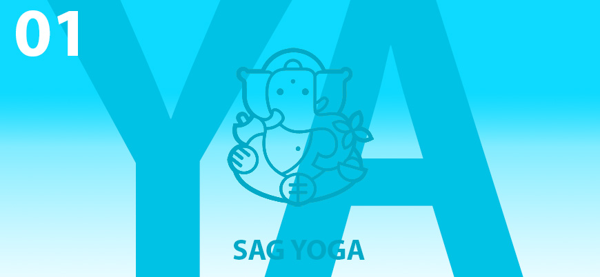 Yoga Avanzado 01
