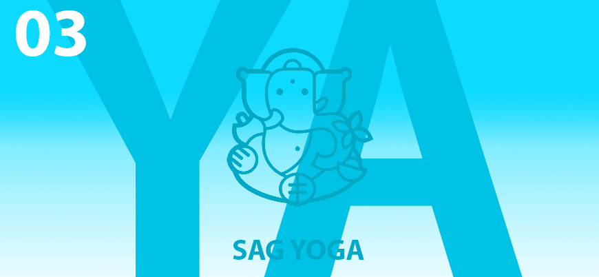 Yoga Avanzado 03