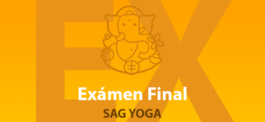 img yogaterapia ex final sagyoga