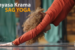 img social yoga Vinyasa Krama
