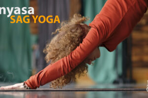 img social yoga Vinyasa
