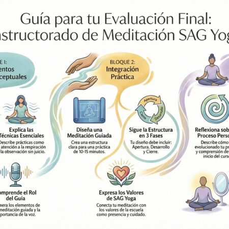 Formación en Meditación modulo 12